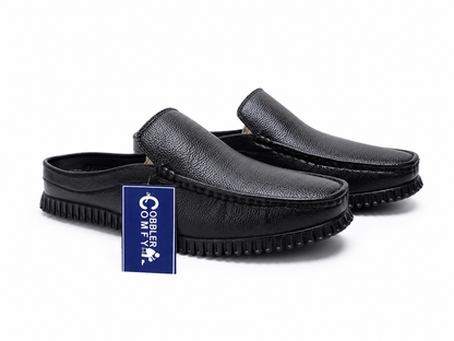 CCZB-001 | BK